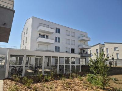 Annonce Vente 2 pi�ces Appartement Cugnaux 31
