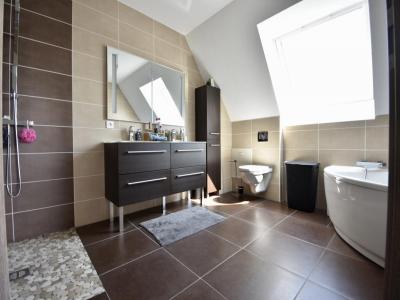 Acheter Maison Gambsheim 445000 euros