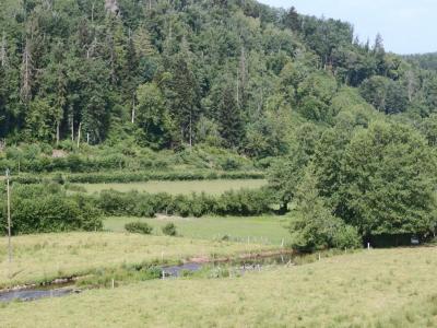 Acheter Maison 83 m2 Chissey-en-morvan