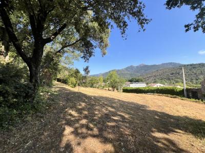 For sale AU CALME SANS VIS � VIS 36 m2 Herault (34390) photo 2
