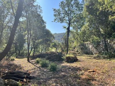 For sale AU CALME SANS VIS � VIS 36 m2 Herault (34390) photo 4