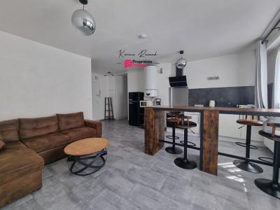 Annonce Location 2 pi�ces Appartement Roche-sur-yon 85