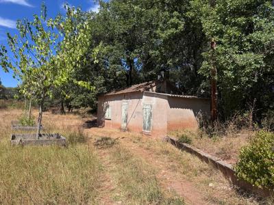 Annonce Vente Terrain Muy 83
