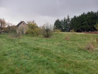 Acheter Terrain 5206 m2 Durtal