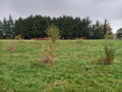 Acheter Terrain Durtal Maine et loire