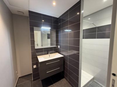 Louer Appartement Lyon-1er-arrondissement Rhone
