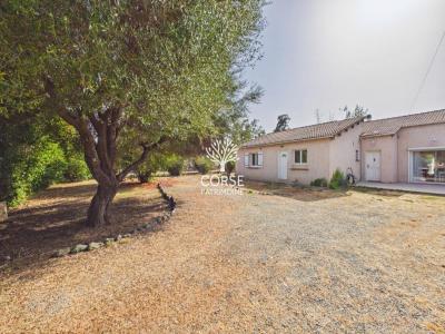 Annonce Vente 6 pi�ces Maison Prunelli-di-fiumorbo 20