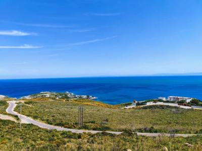 Annonce Vente Terrain Vivier-sur-mer 35