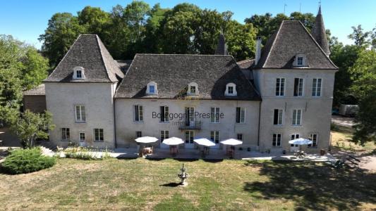 Annonce Vente Prestige Tournus 71