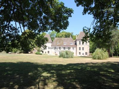 Acheter Prestige 697 m2 Tournus