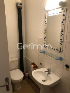 Louer Appartement Grenoble Isere