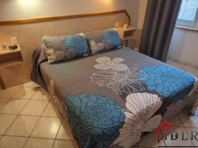 Acheter Maison Bourbonne-les-bains Haute marne