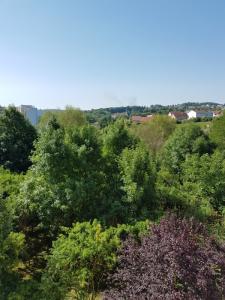 Louer Appartement Laxou Meurthe et moselle