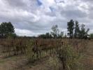 For sale Land Castillon-du-gard 18960 m2