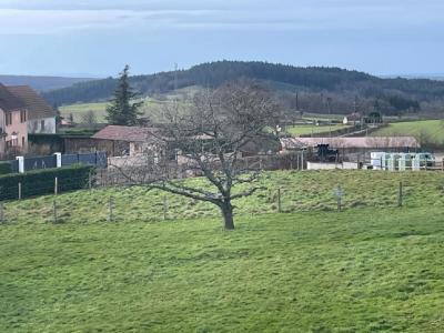Acheter Terrain 1136 m2 