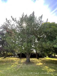 For sale Faouet PLOUHA 13 rooms 290 m2 Cotes d'armor (22290) photo 3