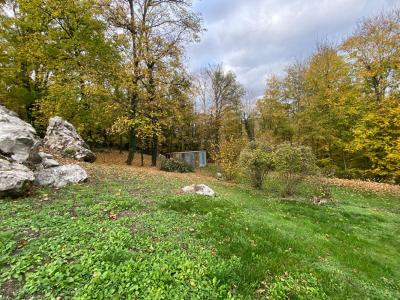 Annonce Vente Terrain Blesmes 02