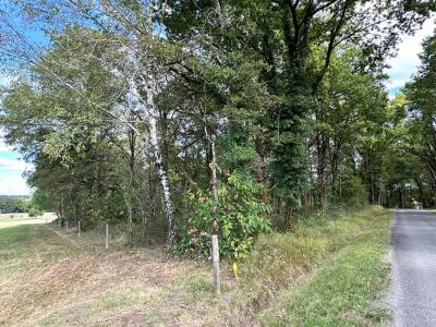 Annonce Vente Terrain Saint-martin-de-fressengeas 24