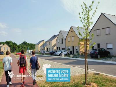 Annonce Vente Terrain Verger 35