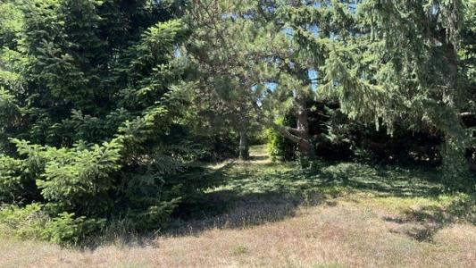 For sale Anneyron 553 m2 Drome (26140) photo 3
