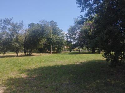 Annonce Vente Terrain Cazeres 31