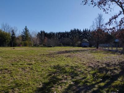 For sale Eaunes 583 m2 Haute garonne (31600) photo 0
