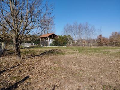 Annonce Vente Terrain Eaunes 31