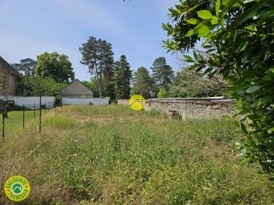 Annonce Vente 10 pi�ces Maison Nerondes 18