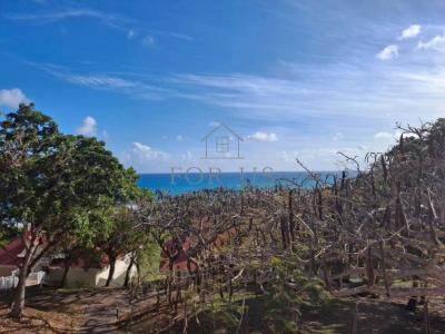 For sale Sainte-anne 3 rooms 35 m2 Guadeloupe (97180) photo 2