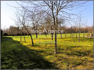 Acheter Terrain 1333 m2 Chapelle-moutils