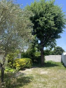 For sale Talence 4 rooms 84 m2 Gironde (33400) photo 4