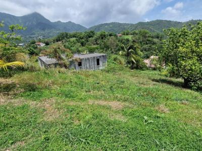 For sale Morne-vert 1494 m2 Martinique (97226) photo 1