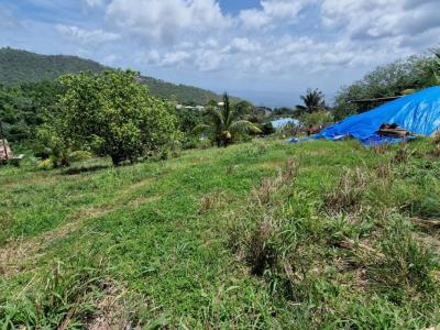 For sale Morne-vert 1494 m2 Martinique (97226) photo 2
