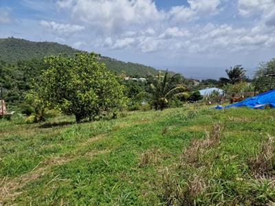 For sale Morne-vert 1494 m2 Martinique (97226) photo 3