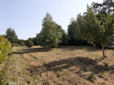 For sale Telgruc-sur-mer Finistere (29560) photo 0