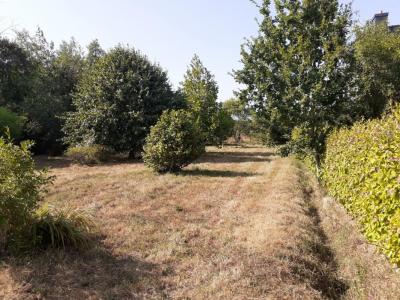 For sale Telgruc-sur-mer Finistere (29560) photo 1