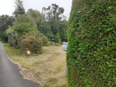 For sale Telgruc-sur-mer Finistere (29560) photo 4