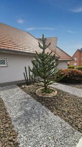 For sale Seltz 7 rooms 216 m2 Bas rhin (67470) photo 3