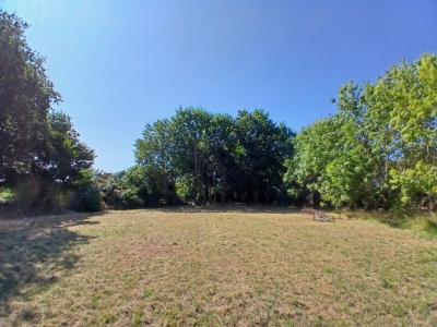 For sale Sarzeau 792 m2 Morbihan (56370) photo 1