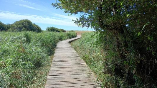 For sale Sarzeau 792 m2 Morbihan (56370) photo 2