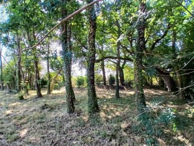 For sale Sarzeau 792 m2 Morbihan (56370) photo 4