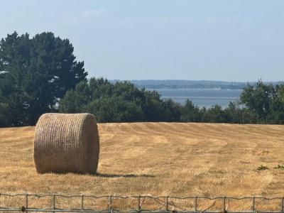 For sale Sarzeau 5 rooms 110 m2 Morbihan (56370) photo 2