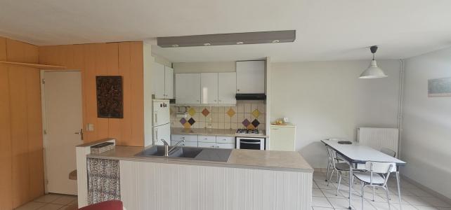 Acheter Maison 110 m2 Villeurbanne