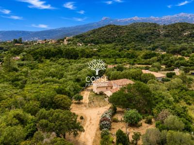 Annonce Vente Prestige Figari 20