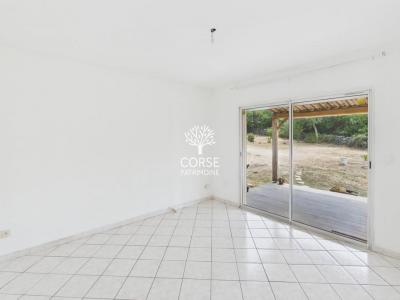 Acheter Prestige Figari Corse