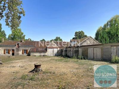 Annonce Vente 3 pi�ces Maison Chemery 41