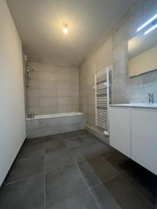 Louer Appartement 68 m2 Huningue