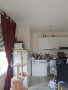 Louer Appartement 40 m2 Craponne