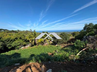 For sale Etang-sale 1234 m2 Reunion (97427) photo 1