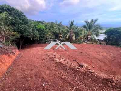 For sale Etang-sale 1234 m2 Reunion (97427) photo 2